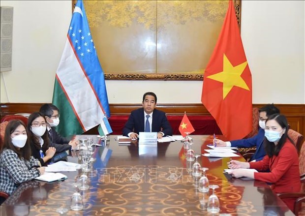 Вьетнам и Узбекистан провели политические консультации на уровне заместителеи министров hinh anh 1