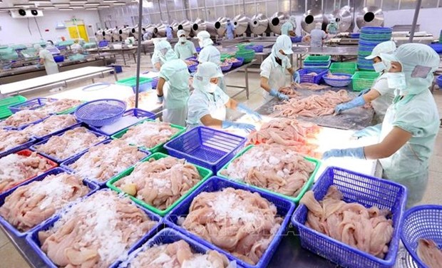 Вьетнамские рыбоперерабатывающие предприятия имеют большие возможности для увеличения экспорта hinh anh 1