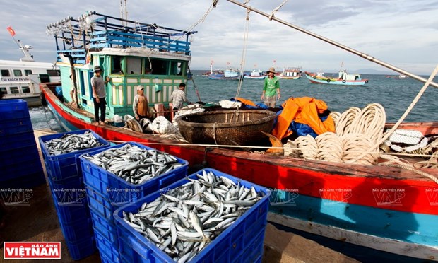 Вьетнамские рыбоперерабатывающие предприятия имеют большие возможности для увеличения экспорта hinh anh 2