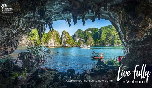 Прогнозируется, что международныи туризм во Вьетнаме сильно восстановится в 2022 году hinh anh 1