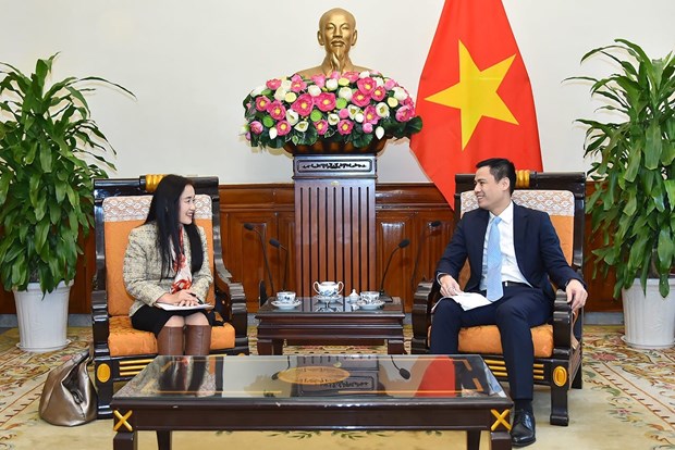 Заместитель министра иностранных дел Данг Хоанг Жанг отметил сотрудничество с ПРООН и ЮНФПА во Вьетнаме hinh anh 2