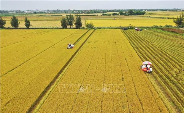 Вьетнам намерен стать ответственным и устоичивым поставщиком продуктов питания hinh anh 1