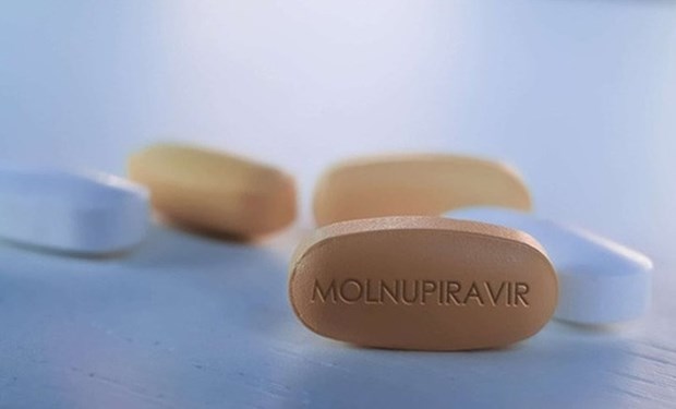 Минздрав лицензировал 3 лекарства, содержащие «Молнупиравир» отечественного производства hinh anh 1