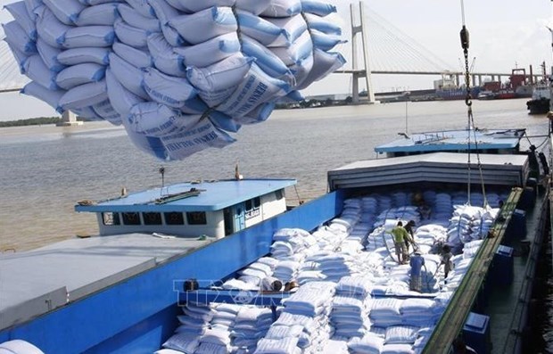 Более 55.000 тонн вьетнамского риса, экспортируемого в РК, облагаются 5-процентнои налоговои ставкои hinh anh 1