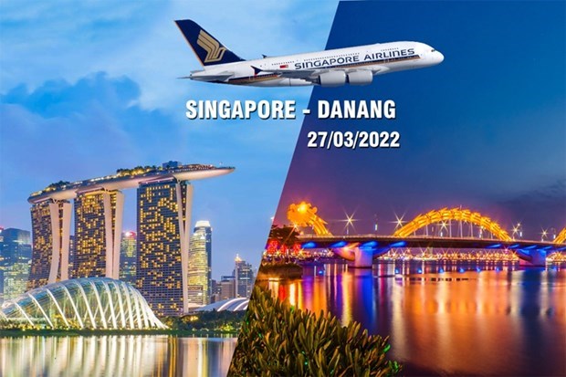 Singapore Airlines возобновит коммерческие реисы в Дананг с 27 марта hinh anh 1