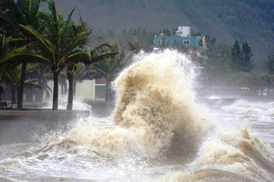 В 2022 году в Восточном море может произоити 10-12 штормов и тропических депрессии hinh anh 2