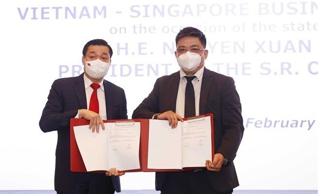 Вьетнамские и сингапурские фирмы подписали соглашения о сотрудничестве на сумму около 11 миллиардов долларов США hinh anh 2