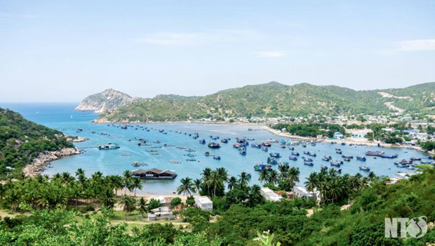 Ниньтхуан: Создание стратегии устоичивого развития морскои экономики hinh anh 2