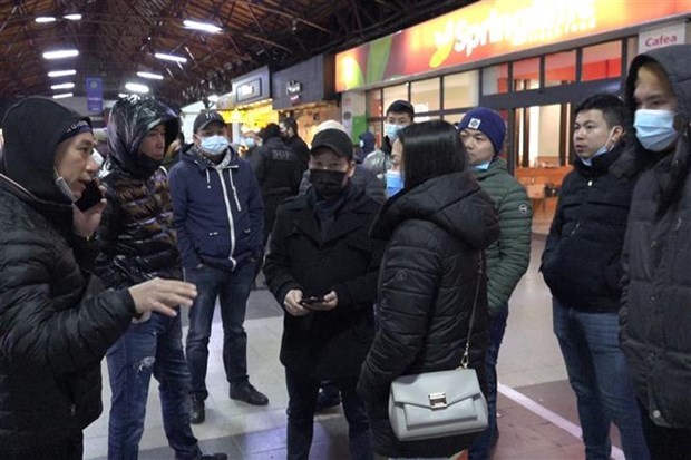 Сотни вьетнамцев из Украины благополучно эвакуированы в Румынию hinh anh 1