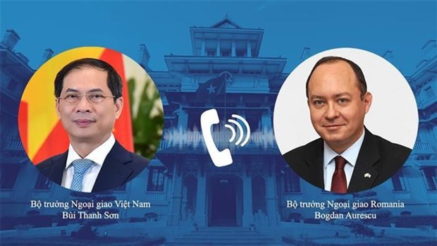 Министр иностранных дел призвал Румынию продолжать поддерживать эвакуацию вьетнамцев из Украины hinh anh 1