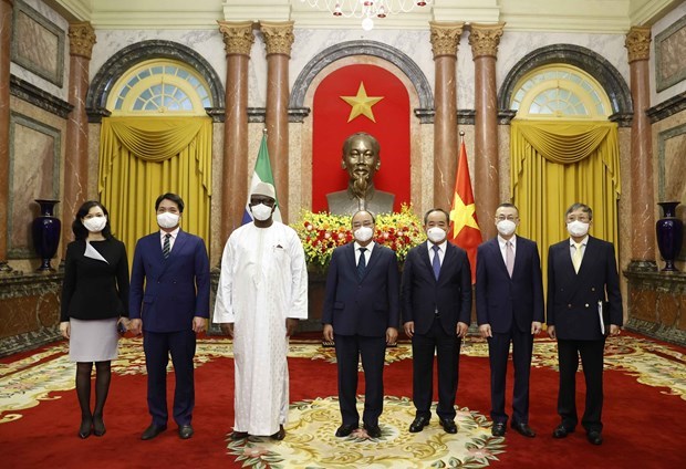 Президент Вьетнама принял вновь аккредитованных иностранных послов hinh anh 1