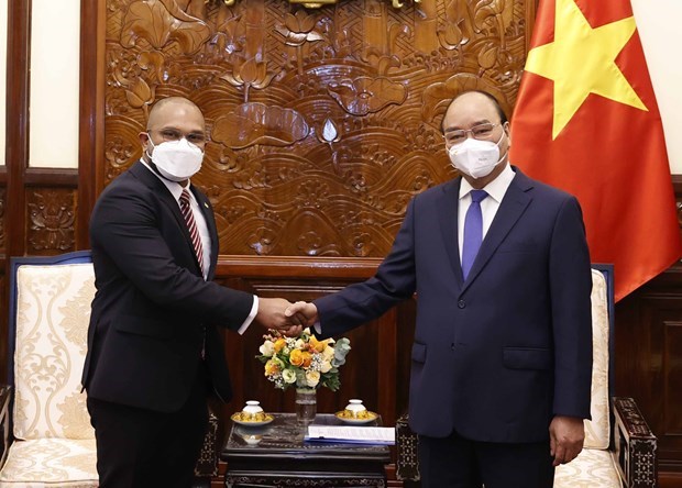 Президент Вьетнама принял вновь аккредитованных иностранных послов hinh anh 4
