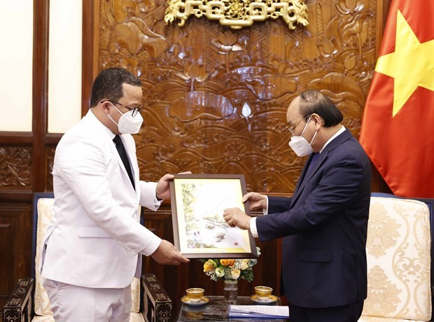 Президент Вьетнама принял вновь аккредитованных иностранных послов hinh anh 5