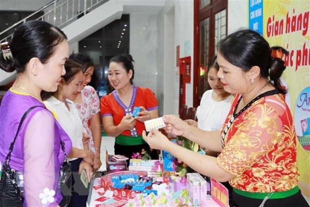 ЮНФПА высоко оценивает усилия Вьетнама по улучшению репродуктивного здоровья hinh anh 1