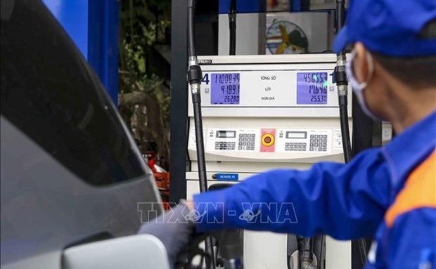 Правительство одобрило проект постановления об экологическом налоге на бензин hinh anh 1