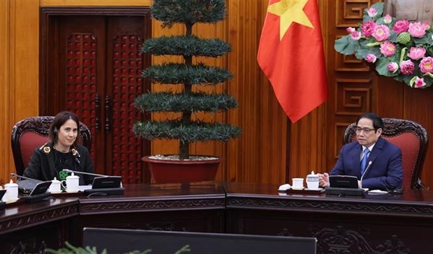 Премьер-министр Фам Минь Тьинь принял посла Новои Зеландии во Вьетнаме hinh anh 1