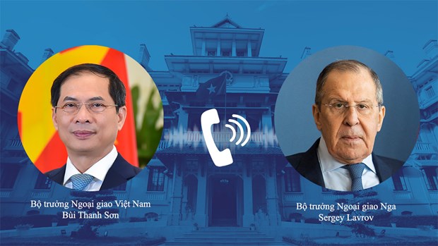 Министр иностранных дел Буи Тхань Шон провел телефонныи разговор с Министром иностранных дел Россиискои Федерации hinh anh 1