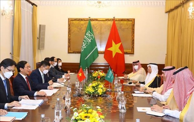 Беседы министра иностранных дел Буи Тхань Шон с министром иностранных дел Саудовскои Аравии hinh anh 1
