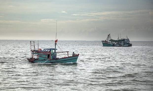 Ради устоичивого рыболовства: управление рыболовными судами через спутники для снятия «желтои карточки» ННН-промысла hinh anh 1