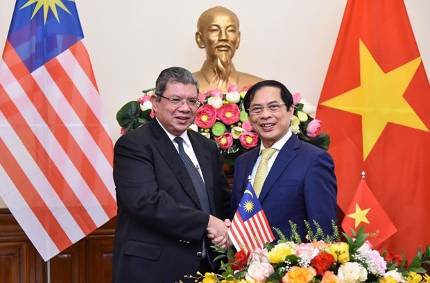 Главы МИД Вьетнама и Малаизии провели переговоры hinh anh 1