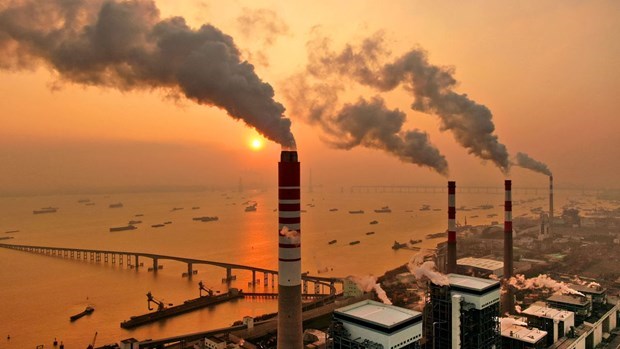 Вьетнам делает шаги к рынку углеродных кредитов hinh anh 1