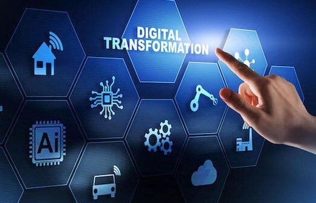 Консультационная сеть по содеиствию цифровои трансформации малого и среднего бизнеса будет сформирована в этом году hinh anh 1
