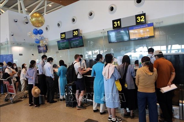 Дананг возобновляет международные авиареисы hinh anh 1