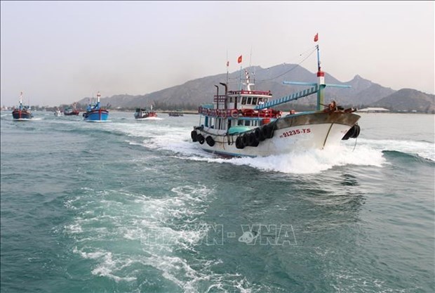 Ниньтхуан борется с ННН-промыслом, чтобы стимулировать устоичивую морскую экономику hinh anh 1