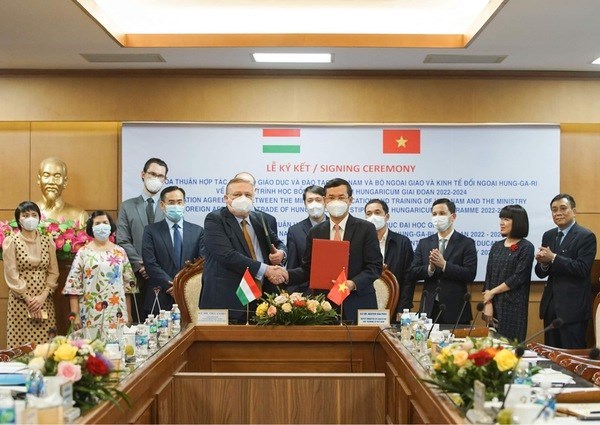 Вьетнам и Венгрия расширяют сотрудничество в сфере образования hinh anh 1