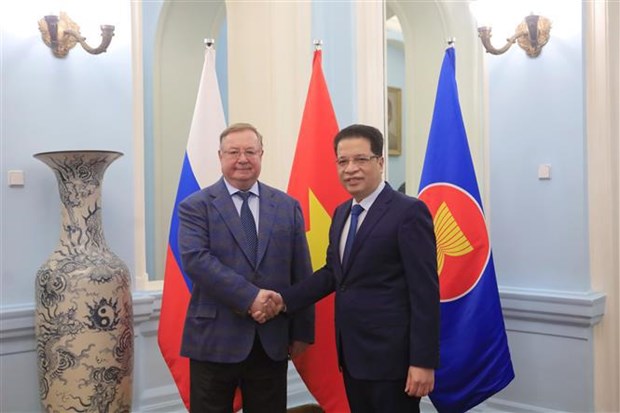 Вьетнам и Россия продвигают сотрудничество в области права hinh anh 1