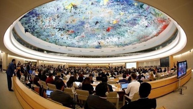Закрылась 49-я очередная сессия Совета ООН по правам человека hinh anh 1