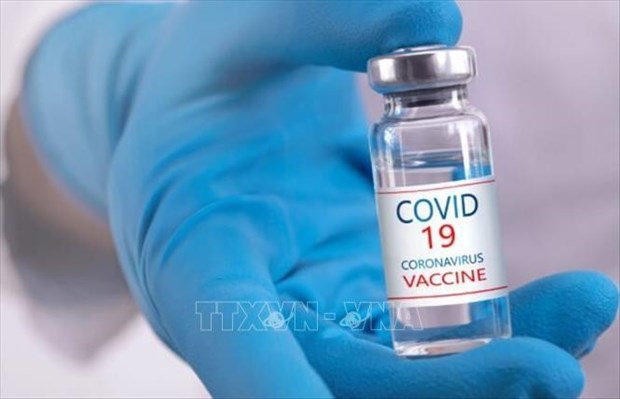 Правительство: 3 вьетнамские вакцины против COVID-19 проходят клинические испытания hinh anh 1