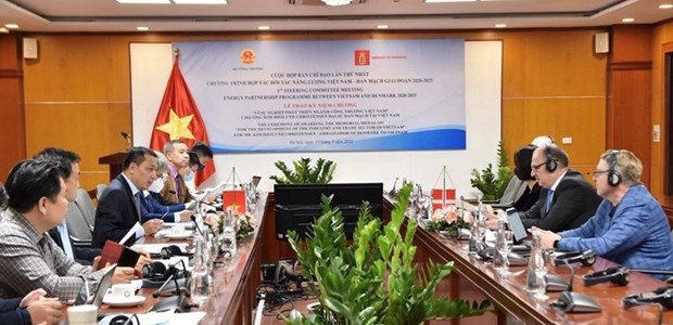 Энергетическое партнерство Вьетнама и Дании на период 2020-2025 гг. hinh anh 1