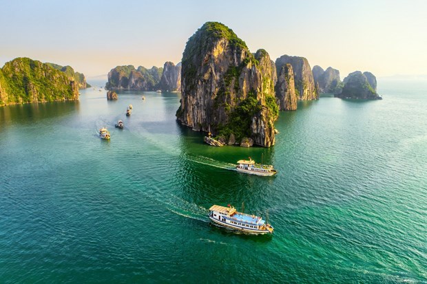 📝 М-РЕД: Социально-экономическое восстановление и развитие: туризм Вьетнама оживился сразу после открытия hinh anh 4