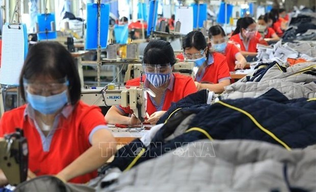 Устоичивыи рынок труда – необходимость для восстановления, развития производства и бизнеса hinh anh 1