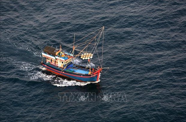 Ассоциация рыболовства Вьетнама выступила против одностороннего запрета Китая в Восточном море hinh anh 1