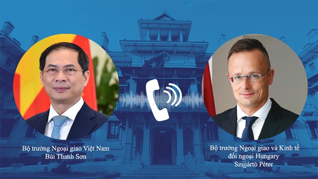 Министр иностранных дел Буи Тхань Шон провел телефонные разговоры с руководителями ЕС и Венгрии hinh anh 2