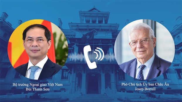 Министр иностранных дел Буи Тхань Шон провел телефонные разговоры с руководителями ЕС и Венгрии hinh anh 1