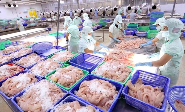 Экспорт рыбнои продукции во втором квартале может достичь рекордных 3 млрд. долл. США hinh anh 1