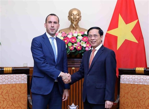 Министр иностранных дел предложил Вьетнаму и Италии расширить сотрудничество hinh anh 1