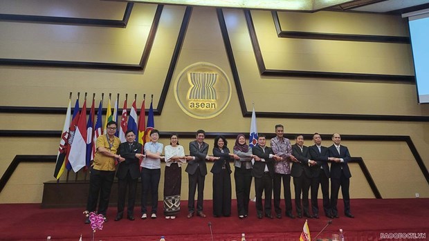 Вьетнам выполнил роль председателя Совета попечителеи Фонда АСЕАН hinh anh 1