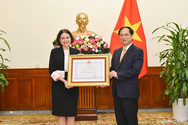 Посол Австралии награжден Орденом Дружбы hinh anh 1
