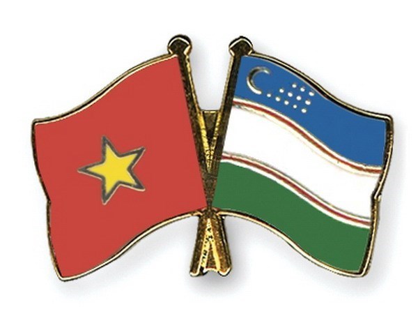 «Вдохнуть новыи ветер» в отношения сотрудничества между Вьетнамом и Узбекистаном hinh anh 1