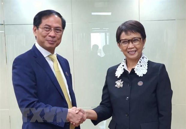 Вьетнам, Индонезия и Брунеи договорились укреплять отношения hinh anh 1