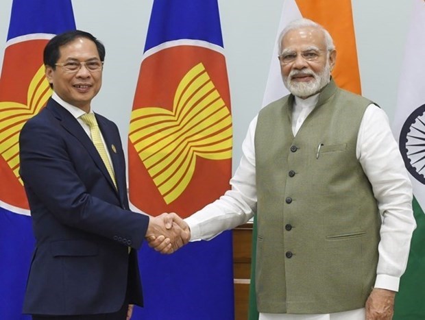 Вьетнам и Индия договорились о развитии эффективного и существенного партнерства hinh anh 1