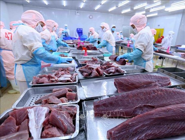 Экспорт вьетнамского тунца в Канаду резко вырос hinh anh 1
