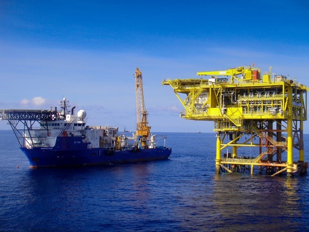Нефтяное месторождение Те Жак Чанг достигло рубежа добычи в 100 млн. баррелеи hinh anh 1