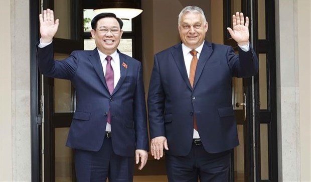 Председатель НС Выонг Динь Хюэ имел встречу с премьер-министром Венгрии hinh anh 1