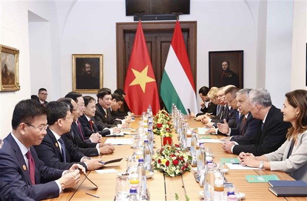 Председатель НС Выонг Динь Хюэ имел встречу с премьер-министром Венгрии hinh anh 2