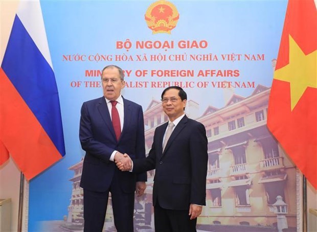 Россия всегда являетсяодним из ведущих важных партнеров Вьетнама hinh anh 1